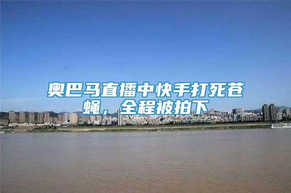 奧巴馬直播中快手打死蒼蠅，全程被拍下