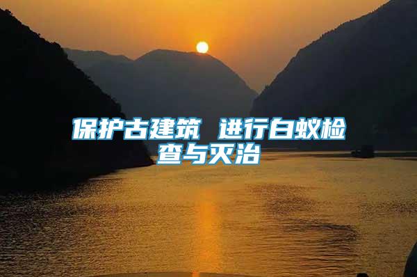 保護古建筑 進行白蟻檢查與滅治