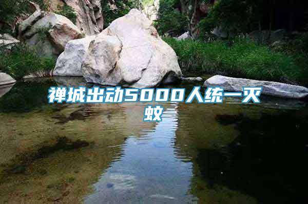 禪城出動(dòng)5000人統(tǒng)一滅蚊