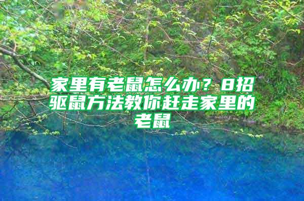 家里有老鼠怎么辦？8招驅(qū)鼠方法教你趕走家里的老鼠