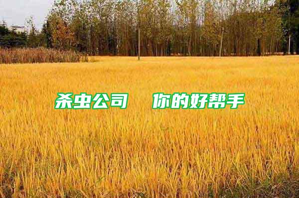 殺蟲(chóng)公司  你的好幫手
