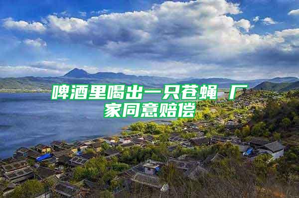 啤酒里喝出一只蒼蠅 廠家同意賠償