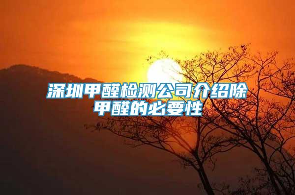 深圳甲醛檢測(cè)公司介紹除甲醛的必要性