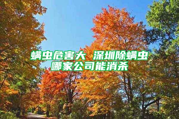 螨蟲危害大 深圳除螨蟲哪家公司能消殺