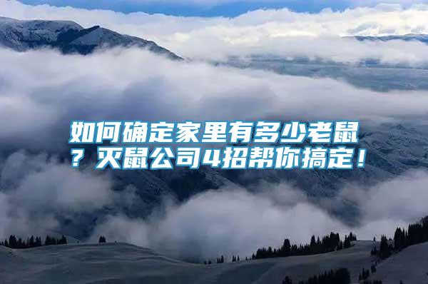 如何確定家里有多少老鼠？滅鼠公司4招幫你搞定！