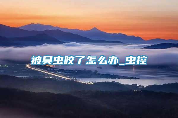 被臭蟲咬了怎么辦_蟲控