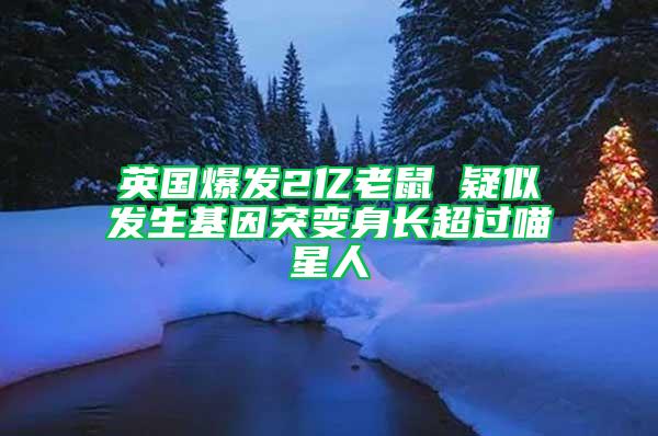 英國(guó)爆發(fā)2億老鼠 疑似發(fā)生基因突變身長(zhǎng)超過(guò)喵星人