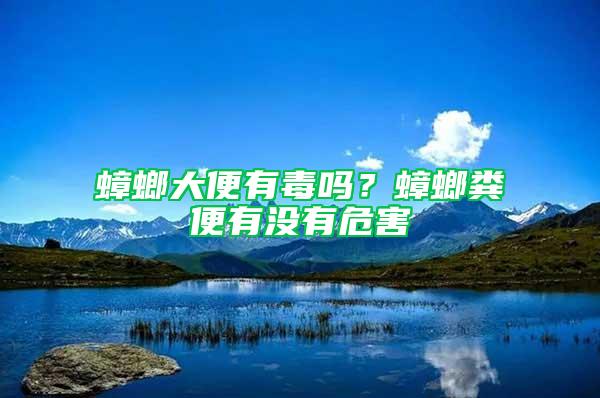 蟑螂大便有毒嗎？蟑螂糞便有沒有危害