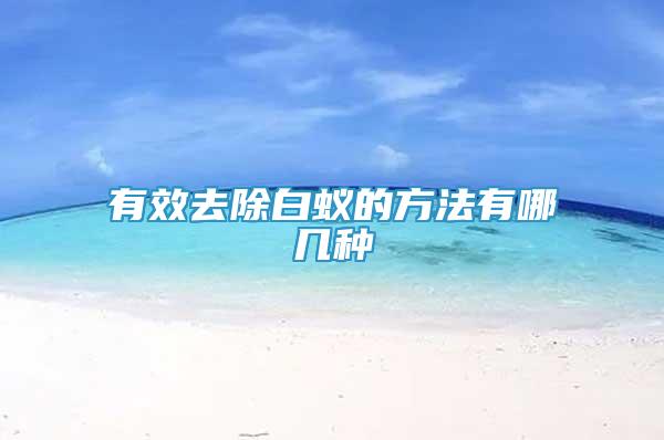 有效去除白蟻的方法有哪幾種