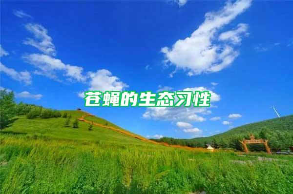 蒼蠅的生態(tài)習(xí)性