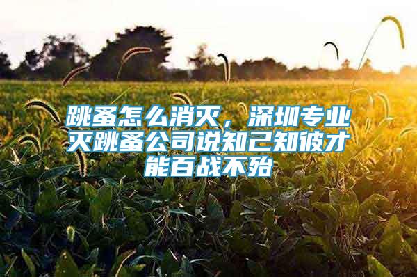 跳蚤怎么消滅，深圳專業(yè)滅跳蚤公司說知己知彼才能百戰(zhàn)不殆