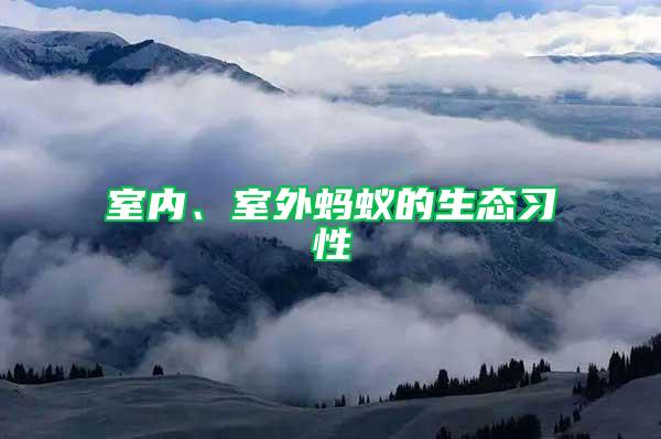 室內(nèi)、室外螞蟻的生態(tài)習(xí)性