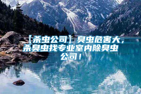 【殺蟲公司】臭蟲危害大，殺臭蟲找專業(yè)室內除臭蟲公司！