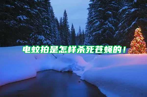 電蚊拍是怎樣殺死蒼蠅的！
