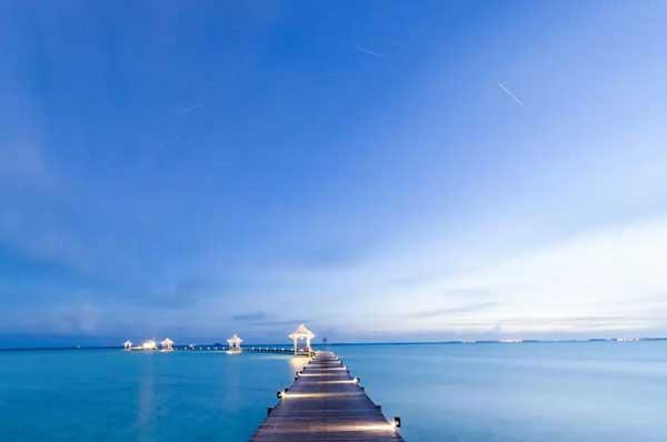 建筑物白蟻防治工程技術(shù)措施