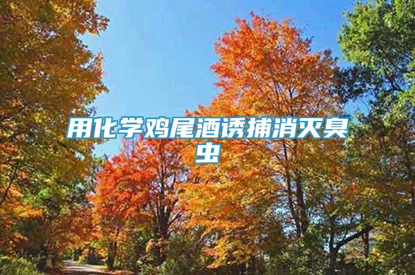 用化學(xué)雞尾酒誘捕消滅臭蟲