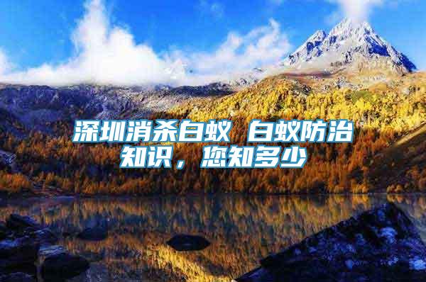 深圳消殺白蟻 白蟻防治知識，您知多少