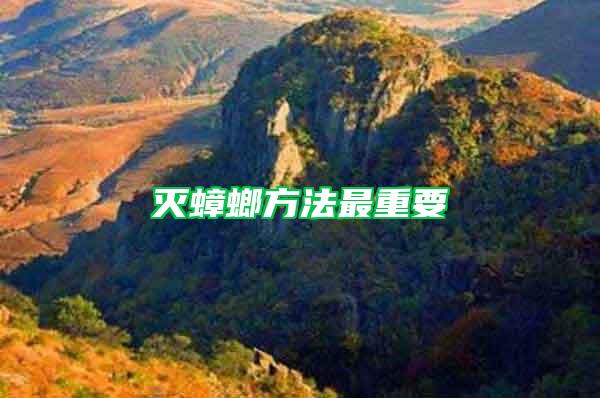 滅蟑螂方法最重要