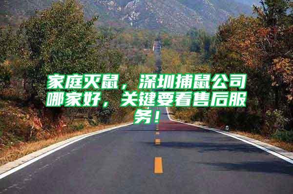 家庭滅鼠，深圳捕鼠公司哪家好，關鍵要看售后服務！
