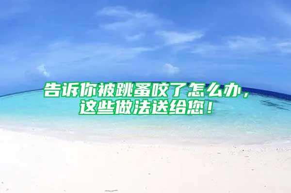 告訴你被跳蚤咬了怎么辦，這些做法送給您！