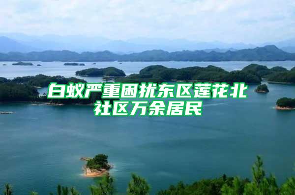 白蟻嚴(yán)重困擾東區(qū)蓮花北社區(qū)萬(wàn)余居民