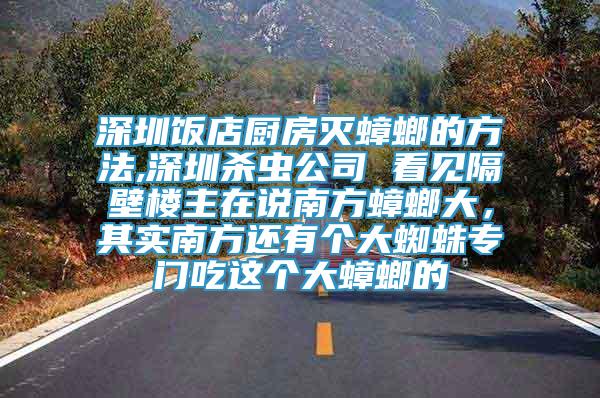 深圳飯店廚房滅蟑螂的方法,深圳殺蟲公司 看見隔壁樓主在說南方蟑螂大，其實(shí)南方還有個(gè)大蜘蛛專門吃這個(gè)大蟑螂的