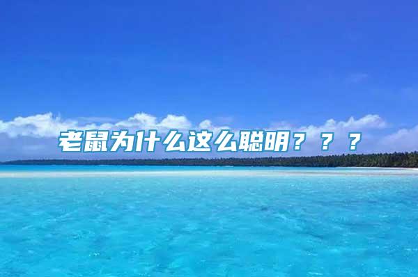 老鼠為什么這么聰明？？？