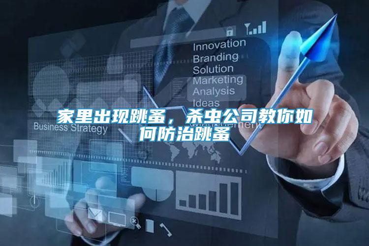 家里出現(xiàn)跳蚤，殺蟲公司教你如何防治跳蚤