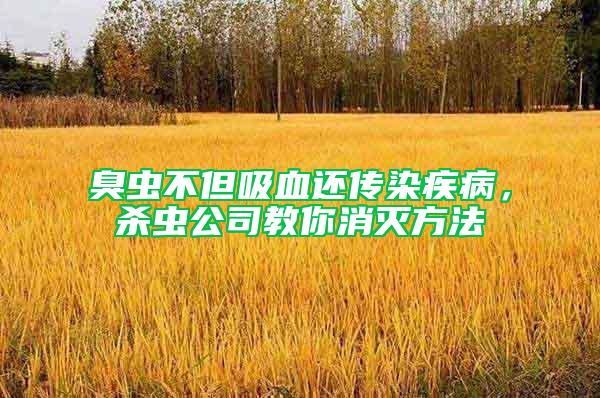 臭蟲(chóng)不但吸血還傳染疾病，殺蟲(chóng)公司教你消滅方法