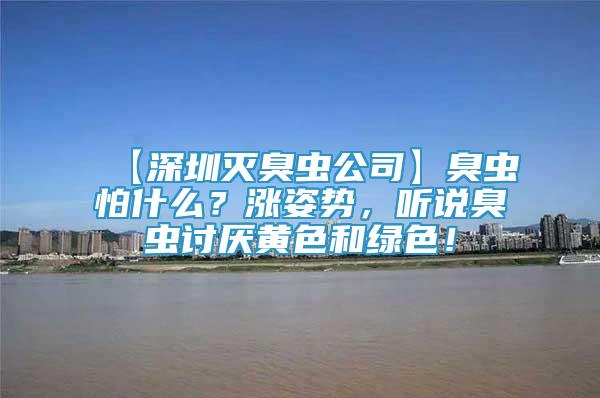 【深圳滅臭蟲公司】臭蟲怕什么？漲姿勢，聽說臭蟲討厭黃色和綠色！