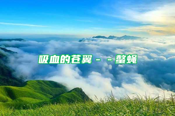 吸血的蒼翼－－螫蠅
