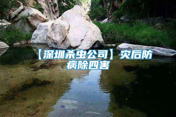 【深圳殺蟲公司】災(zāi)后防病除四害