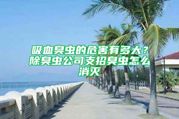 吸血臭蟲的危害有多大？除臭蟲公司支招臭蟲怎么消滅