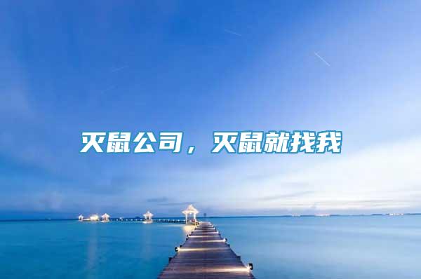 滅鼠公司，滅鼠就找我