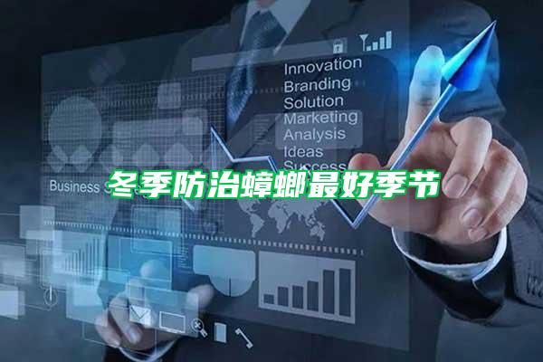 冬季防治蟑螂最好季節(jié)