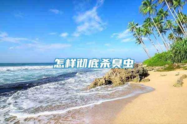 怎樣徹底殺臭蟲