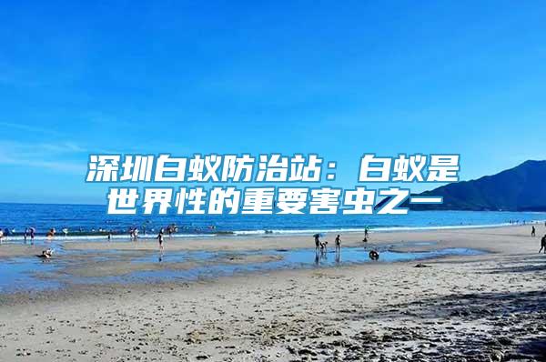 深圳白蟻防治站：白蟻是世界性的重要害蟲之一