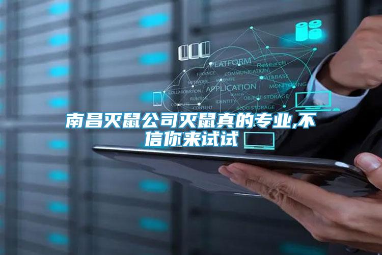 南昌滅鼠公司滅鼠真的專(zhuān)業(yè),不信你來(lái)試試