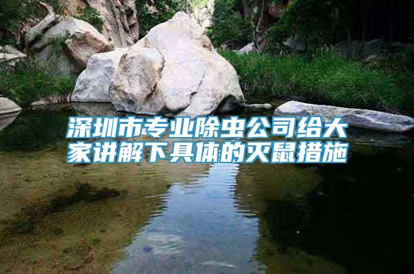 深圳市專業(yè)除蟲公司給大家講解下具體的滅鼠措施