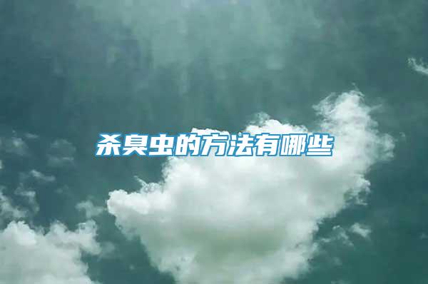 殺臭蟲的方法有哪些