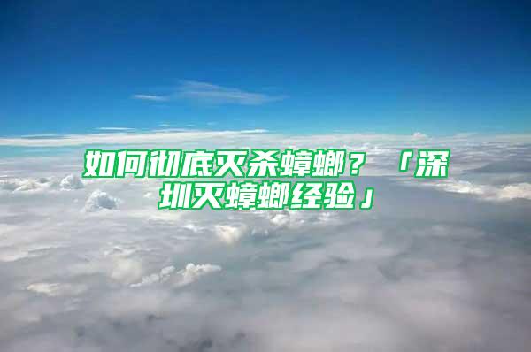 如何徹底滅殺蟑螂？「深圳滅蟑螂經(jīng)驗(yàn)」
