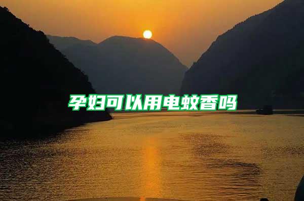 孕婦可以用電蚊香嗎