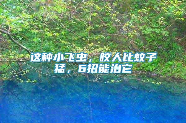 這種小飛蟲，咬人比蚊子猛，6招能治它