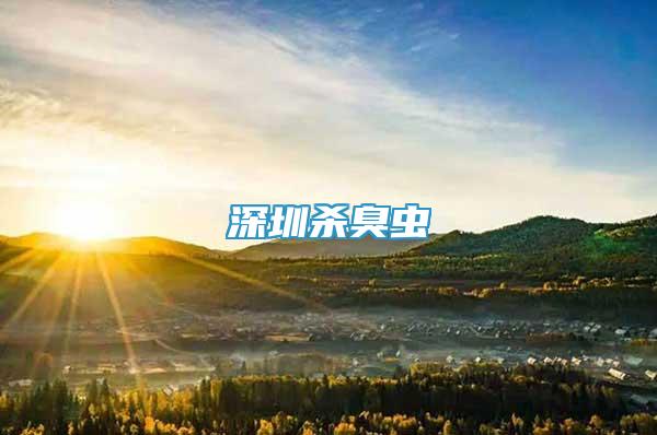深圳殺臭蟲(chóng)