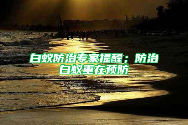 白蟻防治專家提醒；防治白蟻重在預(yù)防