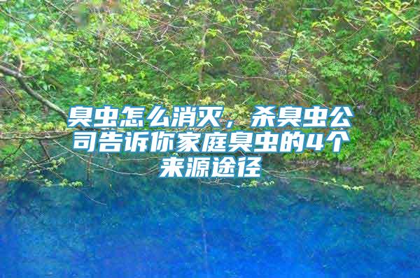 臭蟲(chóng)怎么消滅，殺臭蟲(chóng)公司告訴你家庭臭蟲(chóng)的4個(gè)來(lái)源途徑