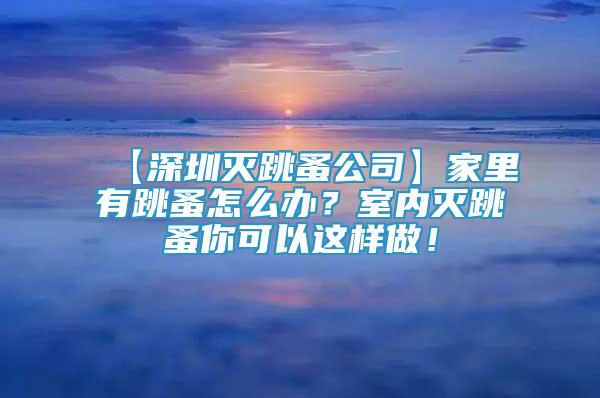 【深圳滅跳蚤公司】家里有跳蚤怎么辦？室內(nèi)滅跳蚤你可以這樣做！
