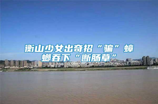 衡山少女出奇招“騙”蟑螂吞下“斷腸草”
