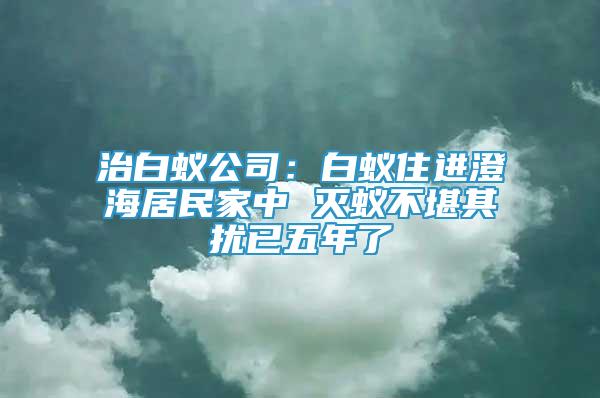 治白蟻公司：白蟻住進澄海居民家中 滅蟻不堪其擾已五年了