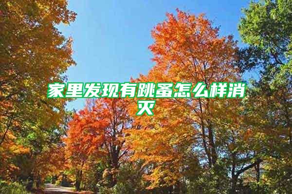 家里發(fā)現(xiàn)有跳蚤怎么樣消滅